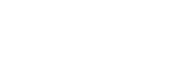 Проекты Детальная Логотип